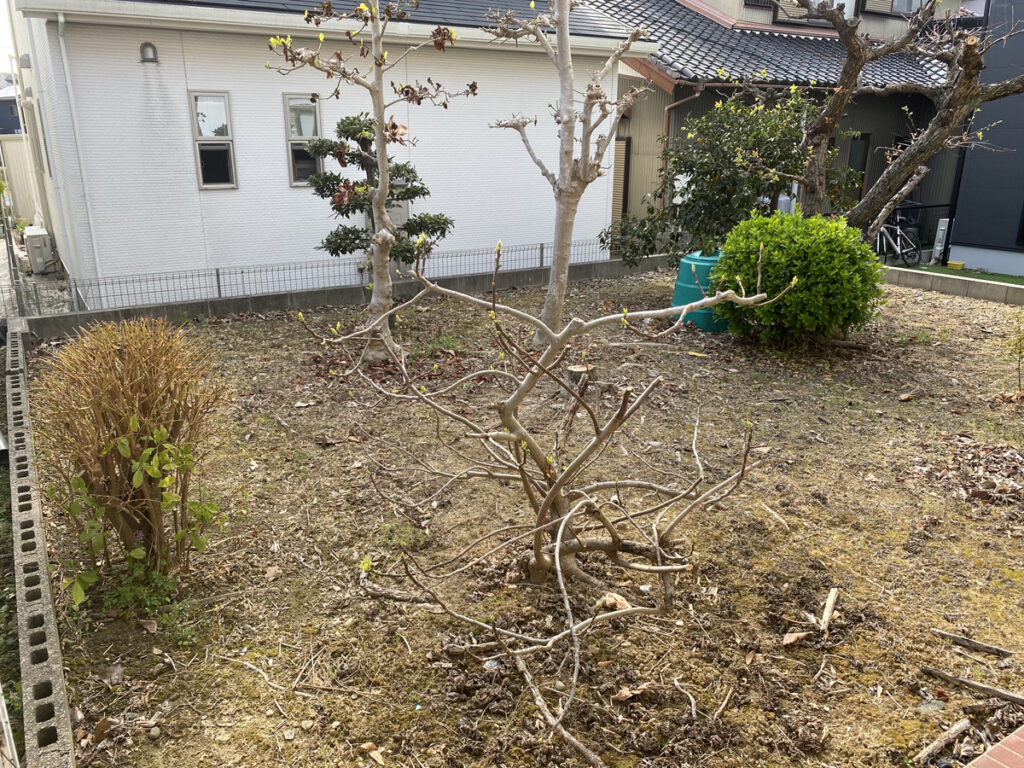 豊橋市東小鷹野１丁目